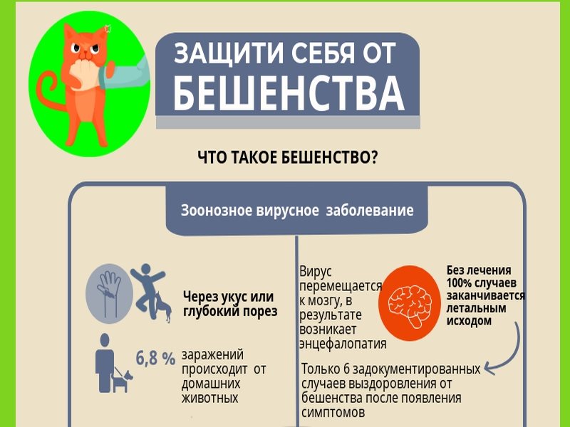 День против бешенства. Всемирный день борьбы с бешенством. Бешенство инфографика. Всемирный день борьбы против бешенства. 28 Сентября день борьбы с бешенством.