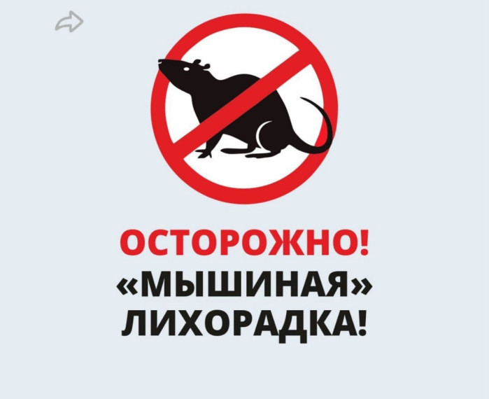Остерегайтесь «мышиной лихорадки»!.