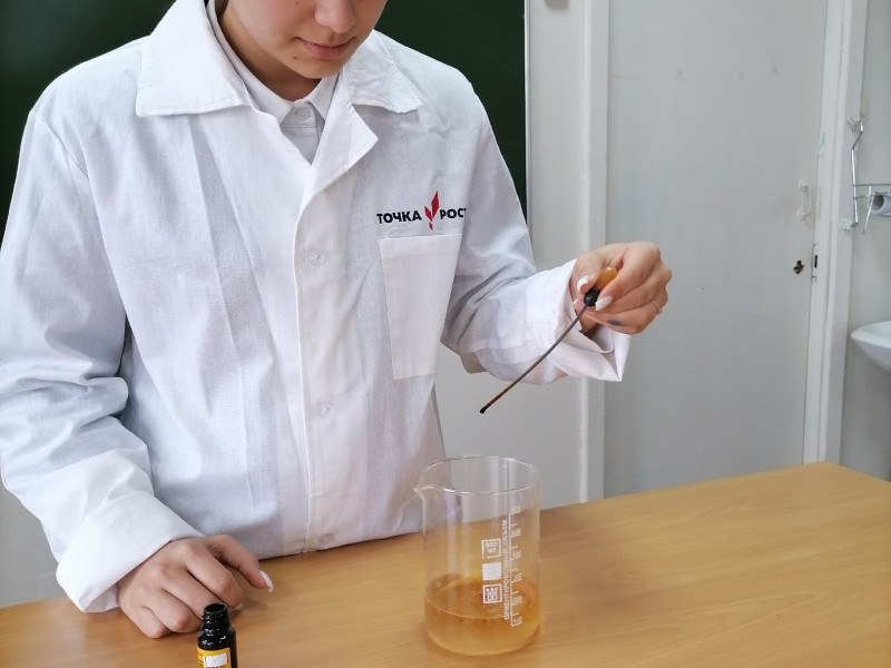 Определение в условиях школьной лаборатории количества аскорбиновой кислоты (витамина С) в шиповнике, на базе центра «Точка роста».
